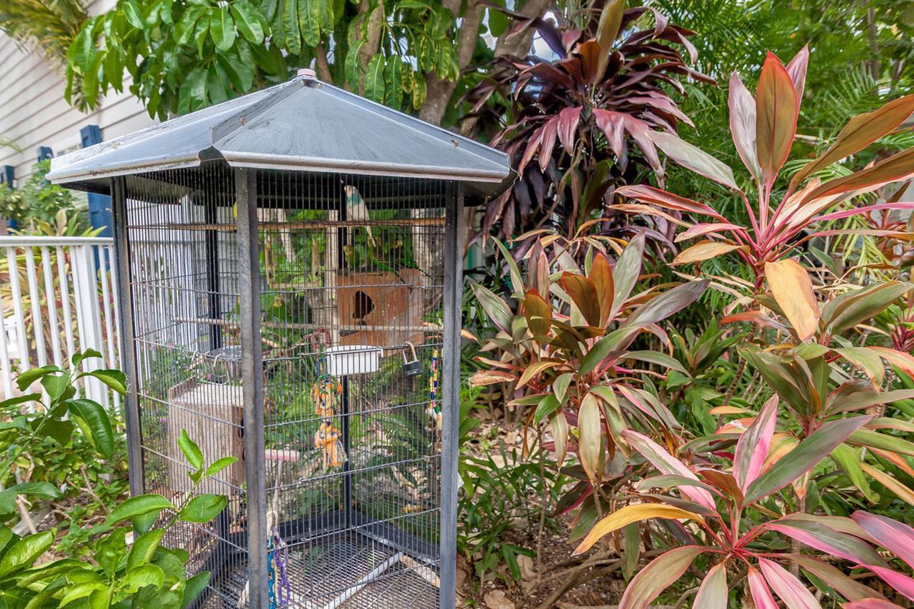 Old Town Garden Villas Key West Phòng bức ảnh